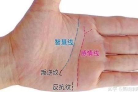 手相杂线密布，揭秘命运转折点