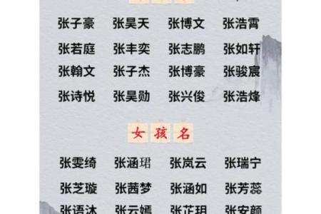 查查公司起名创意：给公司取个与众不同的名字