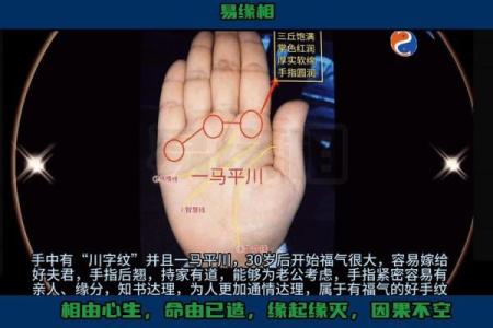 五指揭秘：手相奥秘，掌握命运的秘密武器