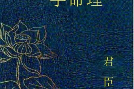 揭开辛亥年盲派命理的神秘面纱，你错过的命运秘密