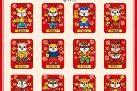 揭秘生肖运势：精准分析你的财运、事业运