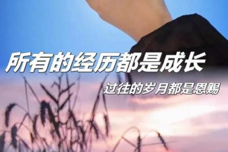 揭秘：命格硬的人，为何总能在逆境中崛起？