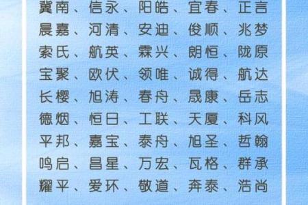 商务公司名称创意指南