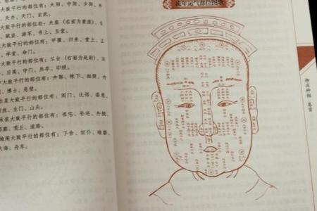 解码巨富面相：她是如何一眼看出财富命门的？