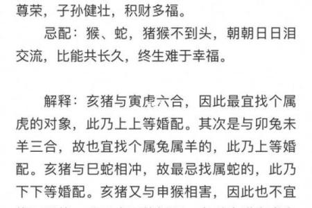 属猪配属牛，天生一对？
