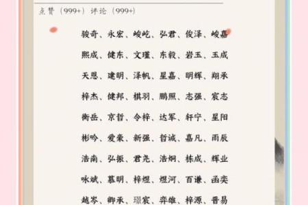 起名俊，如何为宝宝选择最有寓意的名字
