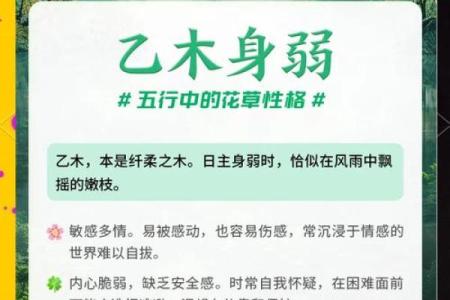 教育属于什么五行，解密背后的深层含义