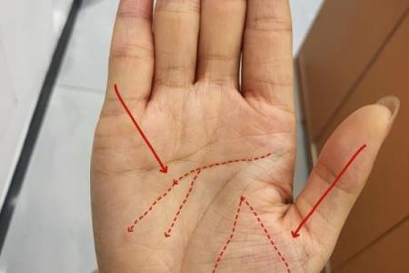 揭秘手相金星丘掌纹的秘密：乱纹预示着什么？必看