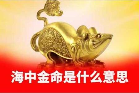 如何判断海中金命是否命理强