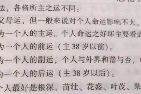 命理真相揭秘，老梁深度解读你命运的密码