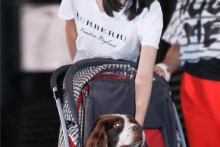 人猴情未了：奇妙组合走红网络