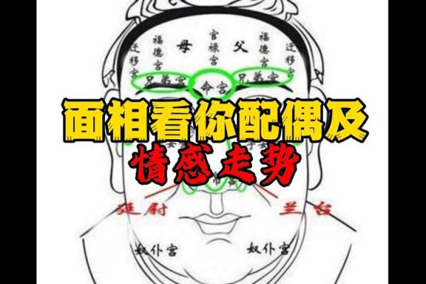 面相揭秘：不好面相腮，究竟隐藏着怎样的运势危机？