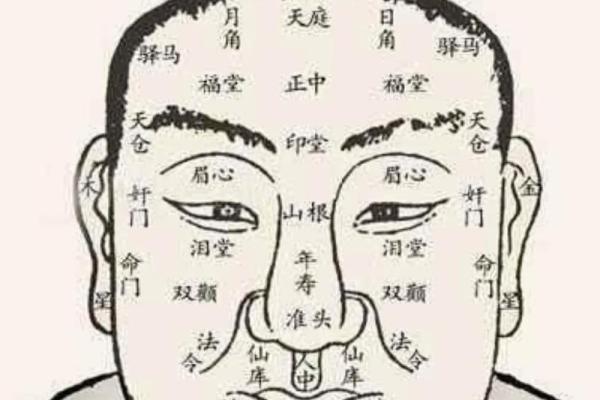 面相揭秘：不好面相腮，究竟隐藏着怎样的运势危机？
