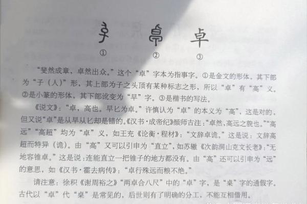 卓字五行分析：如何影响你的性格与事业？