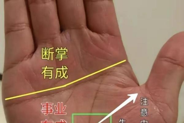 揭秘手相奥秘：女性必备的手相图解大全，一眼看穿命运