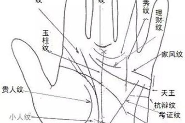揭秘手相奥秘：女性必备的手相图解大全，一眼看穿命运