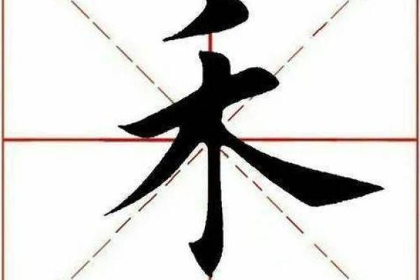 禾属于五行属什么？探秘五行中的禾字玄机