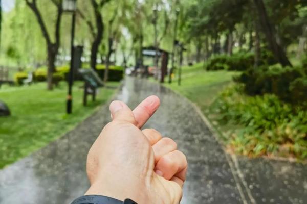 晨起的力量：改变命运的第一步