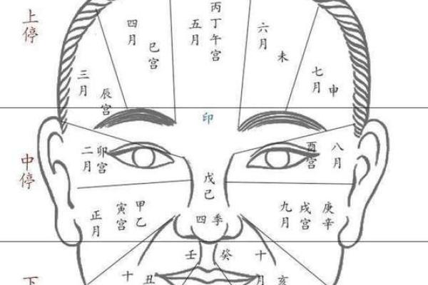 面相识人，一秒看透命运密码