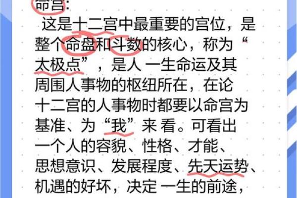 看大官八字，揭开命运与权力的神秘面纱