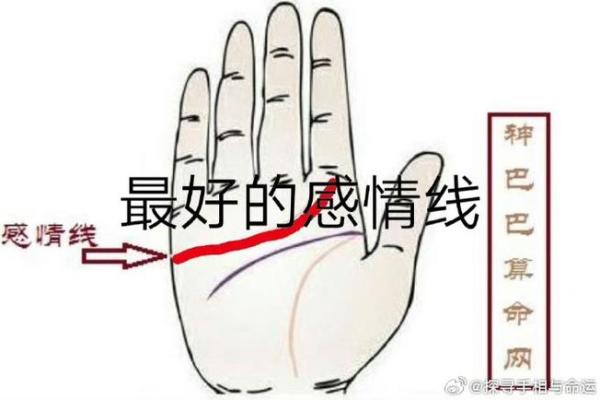 手相揭秘：揭秘你的命运职业，选对方向，财富人生不是梦