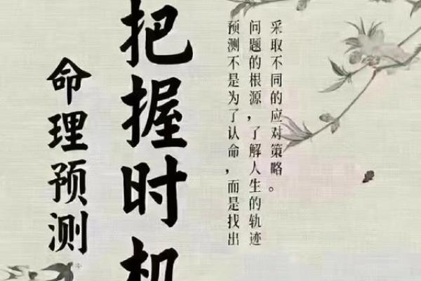 朴有天的八字：命运的起伏如何塑造了他的一生