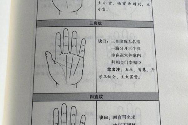 揭秘手相密码：如何一眼看穿你的社会地位