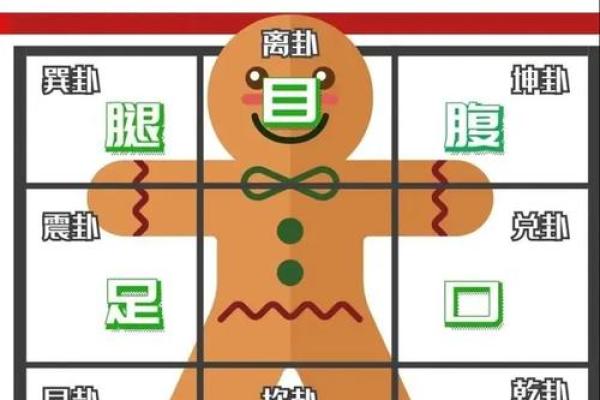 八卦五行的神奇力量：掌握这些，你的人生将焕然一新