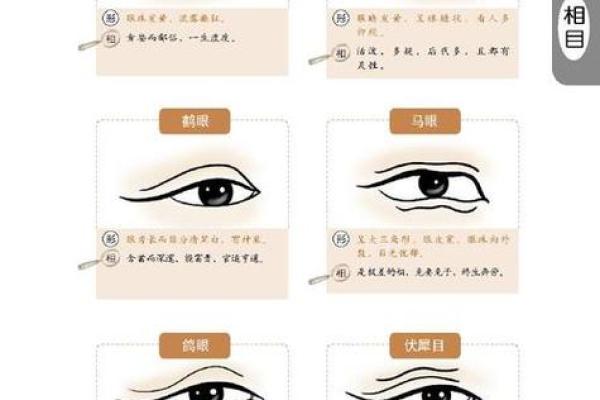 大眼薄唇，财运亨通：揭秘面相中的富贵密码