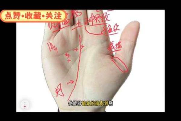 手相奥秘揭秘：两道竖纹暗示的惊人命运