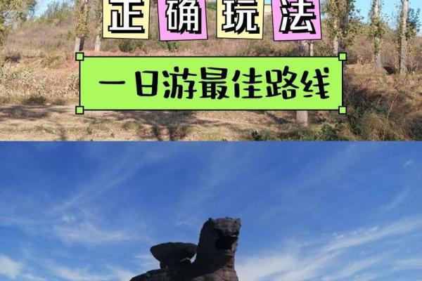 这些旅游开发公司名字让你大开眼界