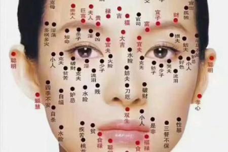 识人于微：鹰眼洞察，揭秘面相中的命运密码