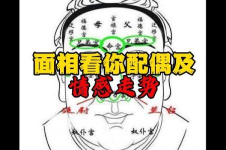 面相揭秘：不好面相腮，究竟隐藏着怎样的运势危机？