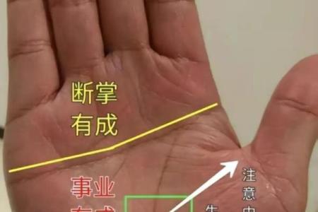 揭秘手相奥秘：女性必备的手相图解大全，一眼看穿命运