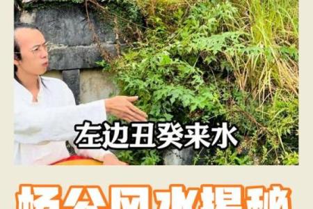 揭秘杨公风水二十四诀：助你打造家居风水宝地