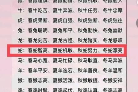 鼠年遇狗年：揭秘生肖相配的秘密