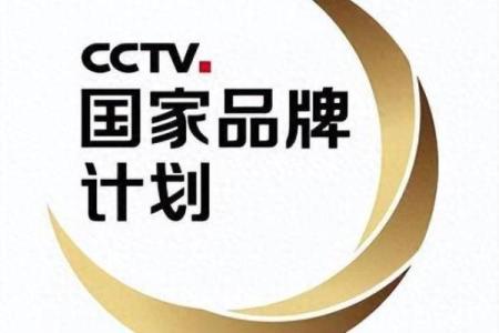公司命名的艺术：从名字看品牌成功之道