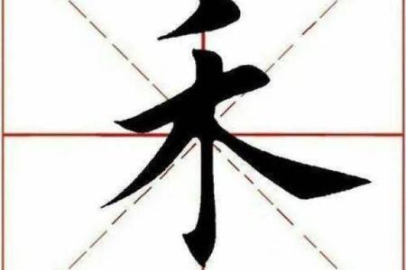 禾属于五行属什么？探秘五行中的禾字玄机
