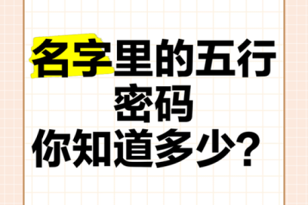 免费查五行，了解你的命运密码