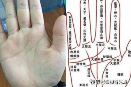 揭秘手相密码：如何一眼看穿你的社会地位