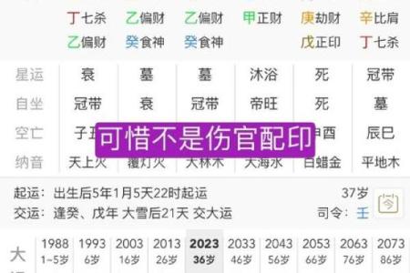 透视八字食伤：如何利用它来化解困局，提升运势