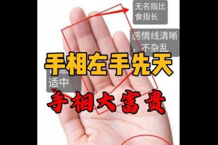 揭秘大富大贵手相秘籍：一招看穿财运人生