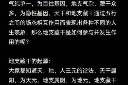 轻松上手壬金口诀排盘，快速了解命理奥秘