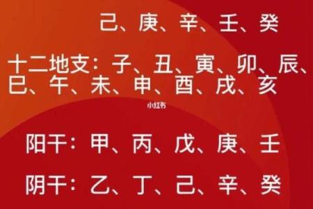 戊天干阳在命理中的重要性你知道吗