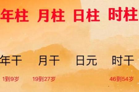 测算生辰八字，揭示人生运势走向