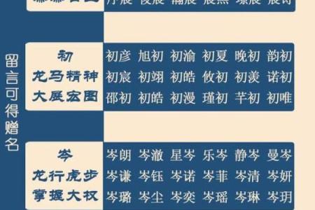起名，轻松打造完美运势