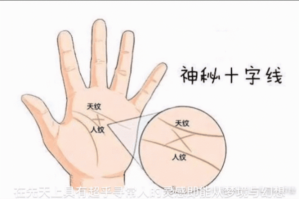 揭秘手相奥秘：聪明人的掌上秘密