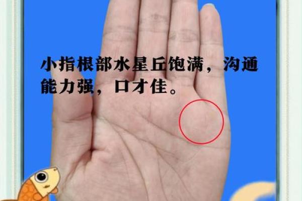 揭秘手相奥秘：聪明人的掌上秘密