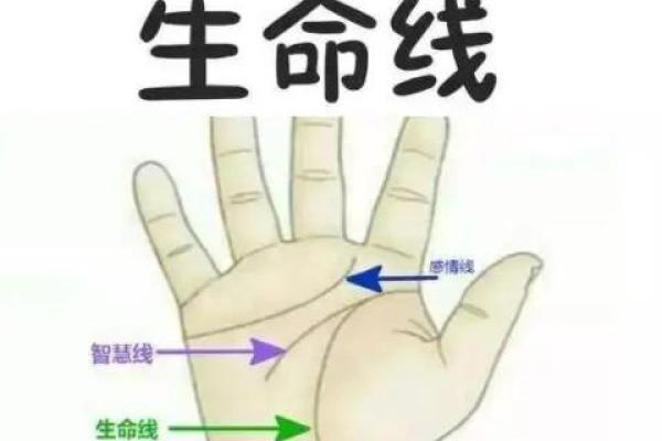 手相揭秘：男生命线末端暗藏的秘密，一招看透命运走向