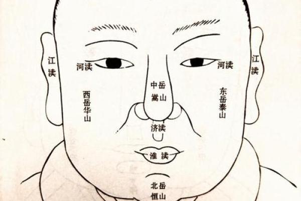 揭秘面相密码：识人辨性，一眼看穿人生运势